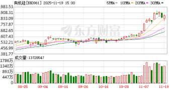 涨价概念扩散！有机硅爆发 杠杆资金抢筹多股(表格)