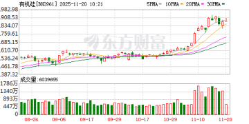 有机硅核心产品涨价20% 融资客重点埋伏6股！年内17家公司增持金额超10亿元