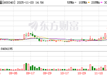 董事王葳：华夏幸福预重整公告违规 已向监管部门投诉