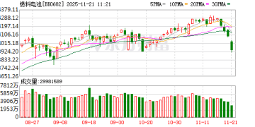 利好来了 这类新能源车正式纳入政府采购！（附股）