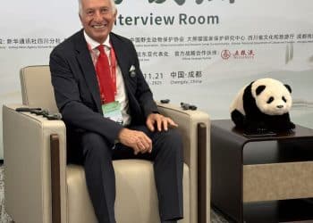 比利时天堂动物园埃里克·董博：大熊猫是东西方文明的「接口」，推动文化叙事从「文本」转向「共鸣」