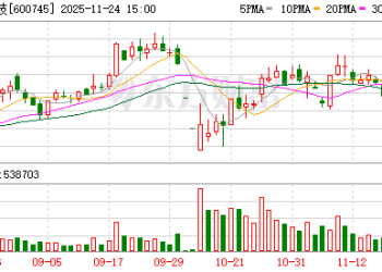 闻泰科技重要声明：安世荷兰迄今未作出实质性回应！