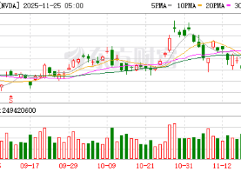 英伟达业绩难解人工智能泡沫担忧
