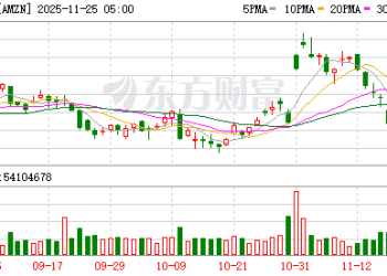 亚马逊斥资500亿美元在美加码算力 专攻政府级AI与HPC需求