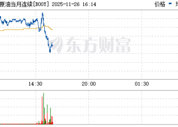 全球异动 石油跳水！乌克兰已原则同意美国提出的和平协议