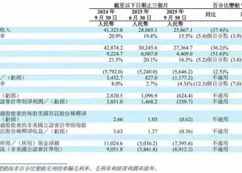 纯电与全球化，理想都要