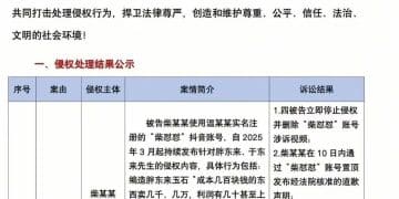 胖东来公示柴怼怼案诉讼结果：柴某某等被判赔偿260万元！柴怼怼等人此前已被逮捕