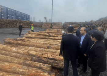 银河期货赴重庆参加国产原木期货首单交割暨研讨活动