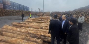 银河期货赴重庆参加国产原木期货首单交割暨研讨活动