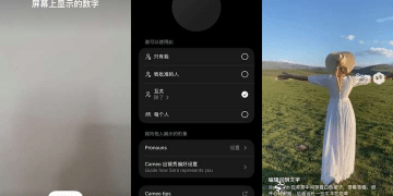 Sora2 API 更新！支持 Cameo 多角色上传 +Remix 功能，你会用吗？