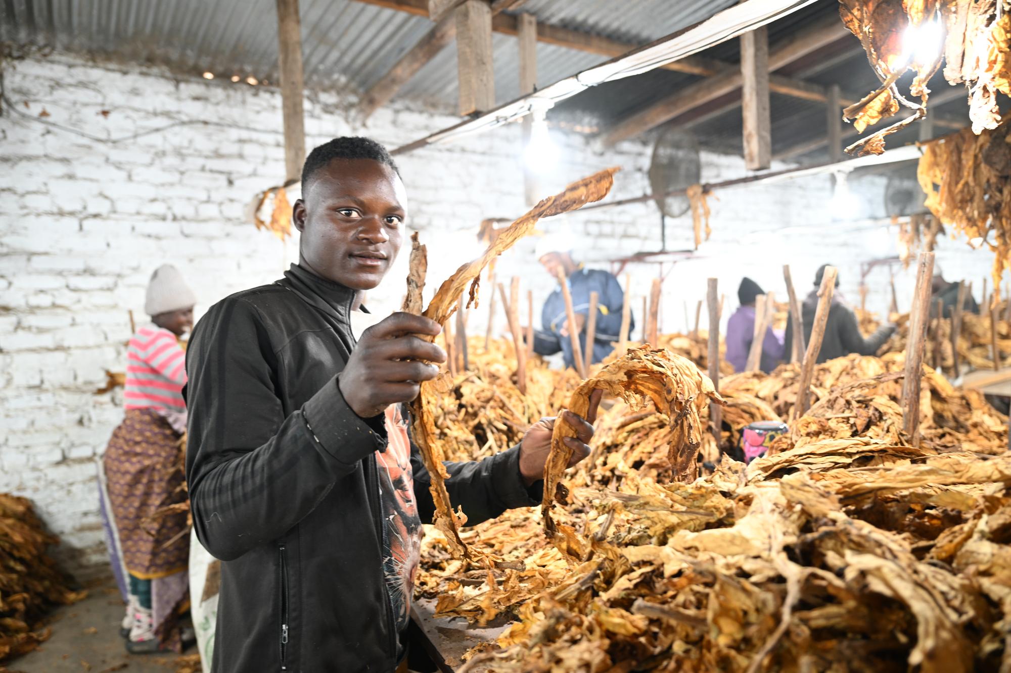 418181290819579905.jpg 418181290819579905.jpg