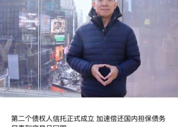 已在美拥有第二家上市公司，设第二信托欲加速偿还中国债务！贾跃亭称生命中只有两件事