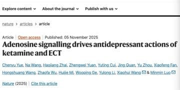 中国团队破解抗抑郁「谜题」，独家对话北京脑所罗敏敏：十二年求索催生新疗法，低氧设备有望成为家用治疗仪