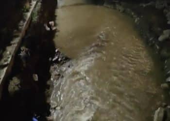 甘肃一条小河现多位淘金者，「凌晨1点还有人」！当地政府回应：明确禁止个人淘金行为；警方：已处置