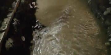 甘肃一条小河现多位淘金者，「凌晨1点还有人」！当地政府回应：明确禁止个人淘金行为；警方：已处置