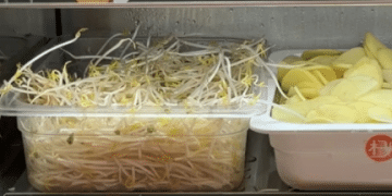 标价按50克计，换算成1斤28.8元！「杨国福豆芽」冲上热搜，网友直呼「吃不起」，客服：全国门店售价不统一