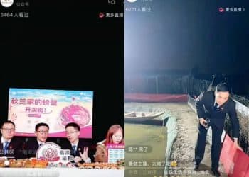 20万人次在线围观，法官在直播间带货卖螃蟹？南京法院回应