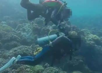 「潜水员水下关闭他人气瓶」 ，还拍视频发朋友圈，协会通报：非潜水教练，在海外个人旅行中发生，永久取消其专业资格