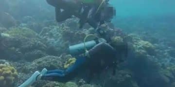 「潜水员水下关闭他人气瓶」 ，还拍视频发朋友圈，协会通报：非潜水教练，在海外个人旅行中发生，永久取消其专业资格