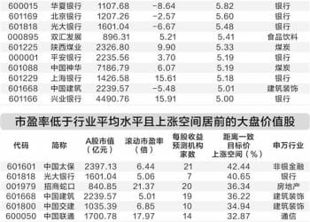 机构看好大盘价值股 53股市盈率低于行业平均水平
