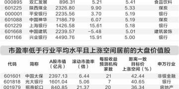机构看好大盘价值股 53股市盈率低于行业平均水平