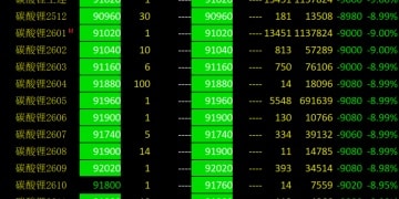 多头情绪降温？碳酸锂期货为何跌停