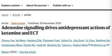 重大发现！全球3.3亿人的难题 被中国团队找到关键突破口