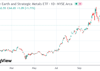美稀土「独苗」警告投资者：别盲目跟风 多数项目赚不到钱