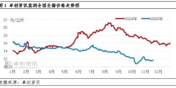 需求增量或难抵供应增幅 12月猪价下跌压力增加