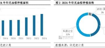 印尼国有化进程加速 棕榈油价格底部或抬升