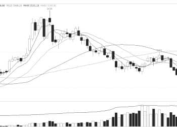 成本支撑增强 沪钢后市有望反弹