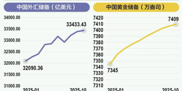 中国外储连续三月超3.3万亿美元 央行买金节奏有变