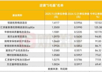 「5毛基」们逆袭 有的业绩翻倍 还有的变身QDII业绩冠军