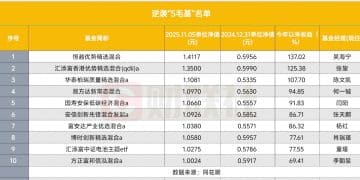 「5毛基」们逆袭 有的业绩翻倍 还有的变身QDII业绩冠军