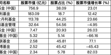 9家外资公募最新持仓曝光 AI科技成布局热点