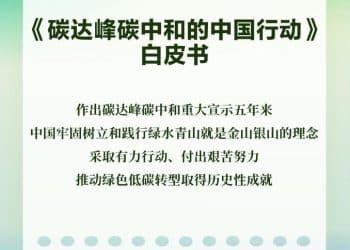 《碳达峰碳中和的中国行动》白皮书发布