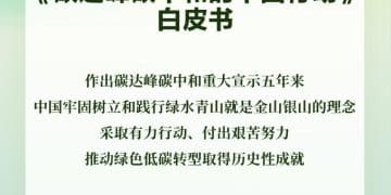 《碳达峰碳中和的中国行动》白皮书发布