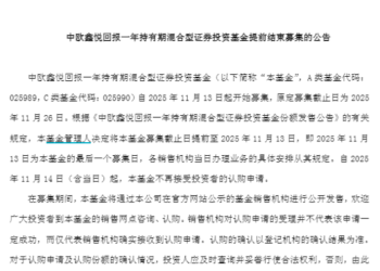 新一轮「日光基」再现 这一轮有何不同？