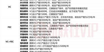 电解液细分龙头盘中创历史新高 VC、FEC等电解液添加剂产能A股名单一览