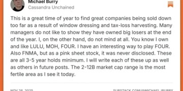 捡漏时间到？狙击英伟达的「大空头」 盯上了这些 「便宜货」