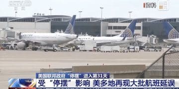 全美机场4295个航班延误、557个班次取消！美交通部长：或关闭空域