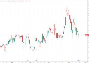 美银调查：多数基金经理认为人工智能投资热潮已经过头