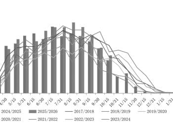 国际糖价受巴西丰产和北半球开榨压制 明年一季度或向上修复