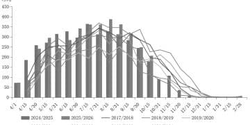 国际糖价受巴西丰产和北半球开榨压制 明年一季度或向上修复