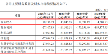 明日申购！「国产GPU第一股」来了