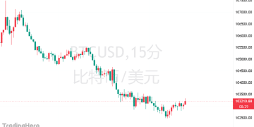 比特币反弹后劲不足？分析师警告：小心「死猫跳」！