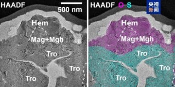 首次！嫦娥六号月球样品，有突破性发现！