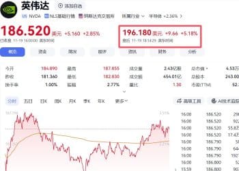 英伟达「交卷」，业绩全面超预期，盘后大涨5%！黄仁勋发声：AI已到一个「临界点」