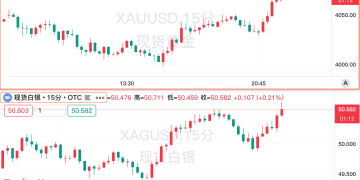 ADP数据显示劳动力市场降温，黄金触及4080美元！
