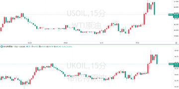 美媒爆料特朗普已决定攻击委内瑞拉，油价拉涨！